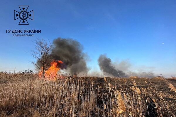 В Суворовском районе Одессы горели поля фильтрации: подробности пожара фото 6