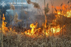 В Суворовском районе Одессы горели поля фильтрации: подробности пожара фото 7