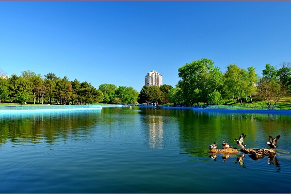 В одесский парк Победы пришла весна: смотри, как это красиво фото 10