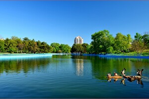 В одесский парк Победы пришла весна: смотри, как это красиво фото 10