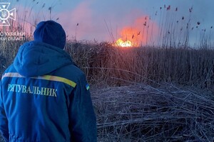 В Одессе горели поля орошения  фото 2
