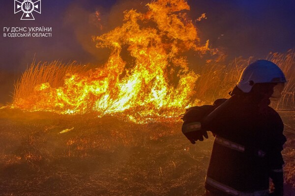 В Одессе горели поля орошения  фото 3