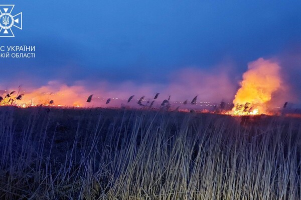 В Одессе горели поля орошения  фото 4