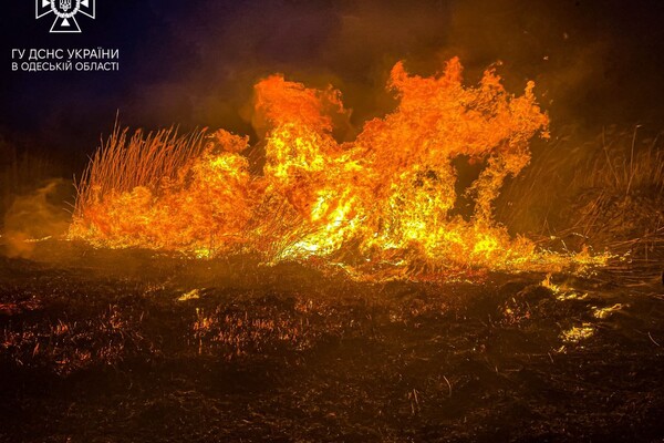 В Одессе горели поля орошения  фото 5