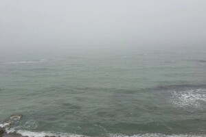 Апрельский туман в Одессе: смотри, как это красиво фото 1