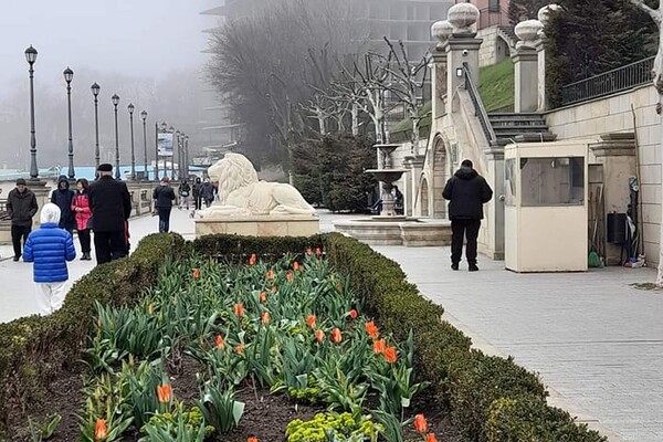 Апрельский туман в Одессе: смотри, как это красиво фото 3