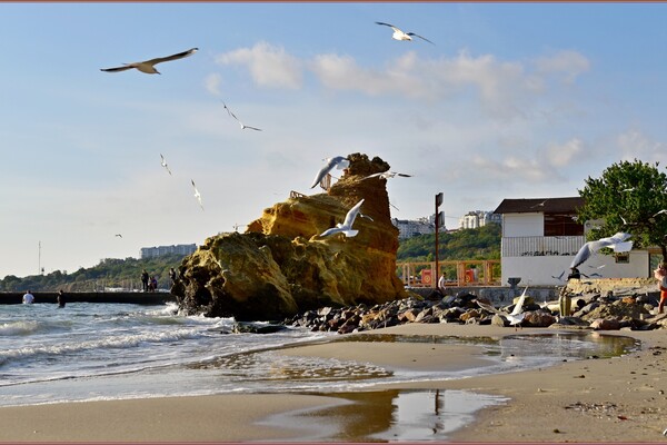 Хвилі, чайки та люди на узбережжі: фотопрогулянка в одеську Раду фото 7