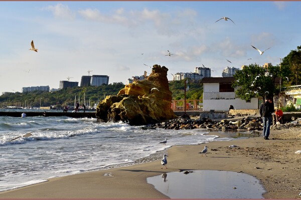 Волны, чайки и люди на побережье: фотопрогулка в одесскую Отраду  фото 14