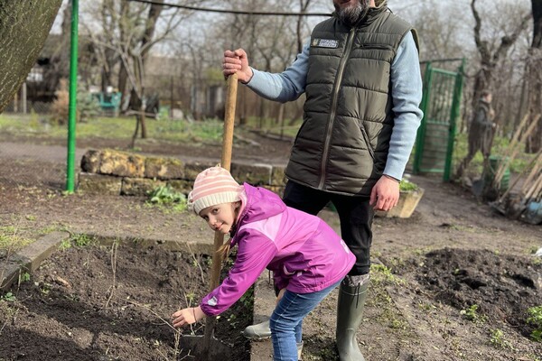 В Одессе высадили саженцы дубов Шевченко в Одессе фото