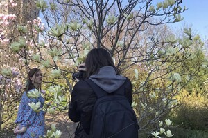 Магнолии, сакуры и экзотические цветы: в Одесском ботсаду началось активное цветение фото 24