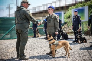 В Одесской области наградили служебную собаку Киру фото 6