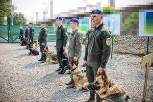 На Одещині нагородили службового собаку Кіру фото 7