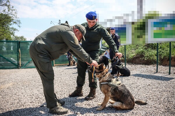 На Одещині нагородили службового собаку Кіру фото 8
