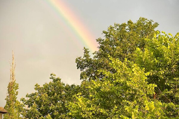 Одесситы наблюдали красочную двойную радугу фото 6