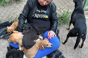 До Одеси привезли перших врятованих тварин із Херсона: як допомогти фото 3