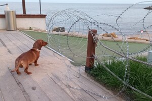 Одесские пляжи укрепляют колючей проволокой для препятствия прохода к морю фото 5