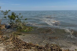 На кількох пляжах Одеси та Одеської області знизилася солоність води у Чорному морі фото 3
