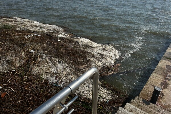 На нескольких пляжах Одессы и Одесской области снизилась соленость воды в Черном море фото 4