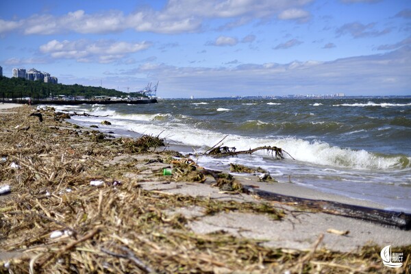 Як берег річки зі сміттям: як виглядає узбережжя Одеси зараз фото 2