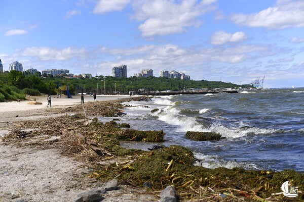 Як берег річки зі сміттям: як виглядає узбережжя Одеси зараз фото 4