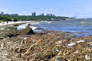 Як берег річки зі сміттям: як виглядає узбережжя Одеси зараз фото 5