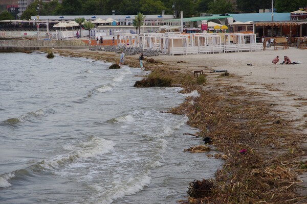 Як берег річки зі сміттям: як виглядає узбережжя Одеси зараз фото 11