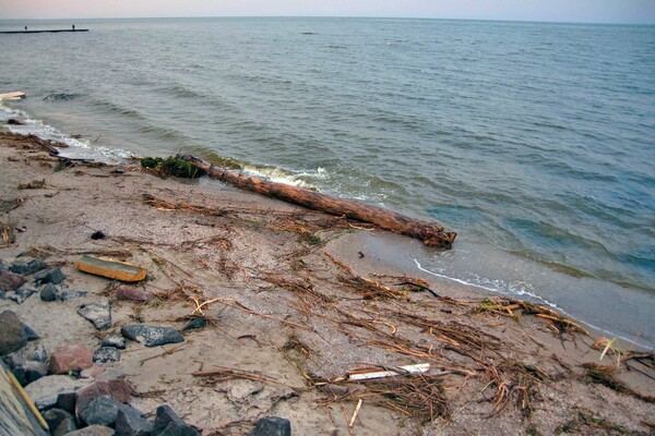 Як берег річки зі сміттям: як виглядає узбережжя Одеси зараз фото 18