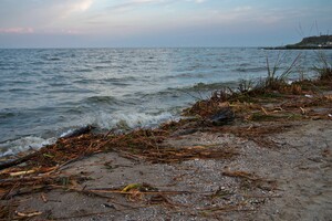Как берег реки с мусором: как выглядит побережье Одессы сейчас  фото 19
