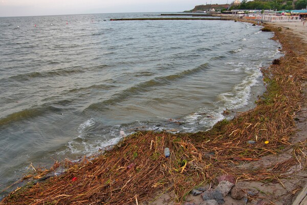Як берег річки зі сміттям: як виглядає узбережжя Одеси зараз фото 20