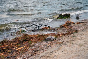 Як берег річки зі сміттям: як виглядає узбережжя Одеси зараз фото 21