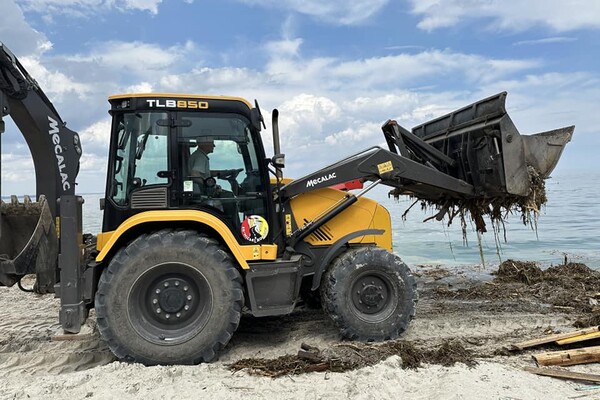 Жабы и бревна: на пляжах Одессы начали убирать мусор фото 2