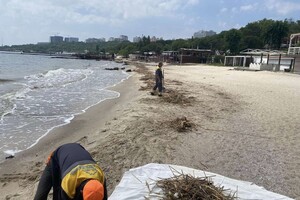Жабы и бревна: на пляжах Одессы начали убирать мусор фото 8