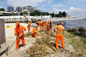 Жабы и бревна: на пляжах Одессы начали убирать мусор фото 10