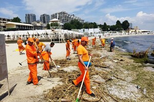 Жаби та колоди: на пляжах Одеси почали прибирати сміття фото 13