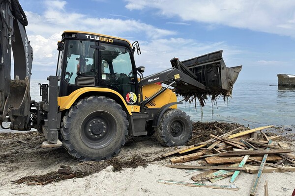 Жаби та колоди: на пляжах Одеси почали прибирати сміття фото 14