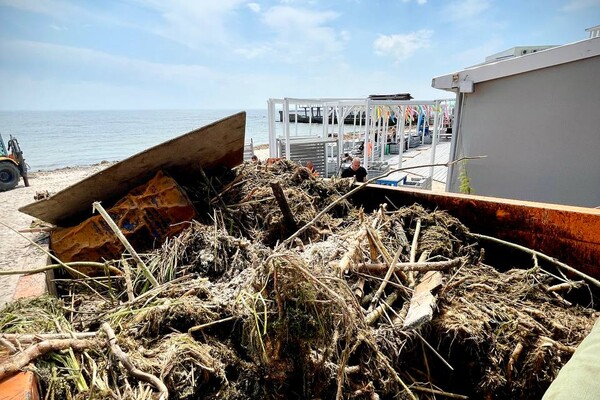 Жабы и бревна: на пляжах Одессы начали убирать мусор фото 18