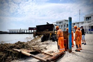 Жаби та колоди: на пляжах Одеси почали прибирати сміття фото 19