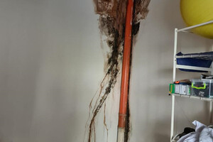 В Одессе во время ремонта школы украли 6,3 миллиона гривен фото 1