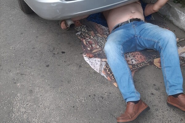 В Одессе змея заползла под авто: пришлось звонить директору зоопарка фото 2