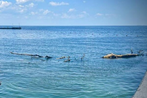 Свежий мониторинг воды в Одессе: что нашли 23 июня  фото