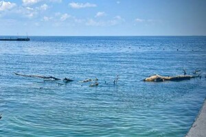 Свежий мониторинг воды в Одессе: что нашли 23 июня  фото