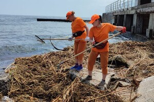 Свежий мониторинг воды в Одессе: что нашли 23 июня  фото 1