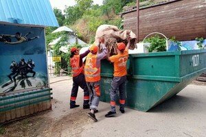 Свежий мониторинг воды в Одессе: что нашли 23 июня  фото 2