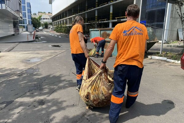 Свежий мониторинг воды в Одессе: что нашли 23 июня  фото 3