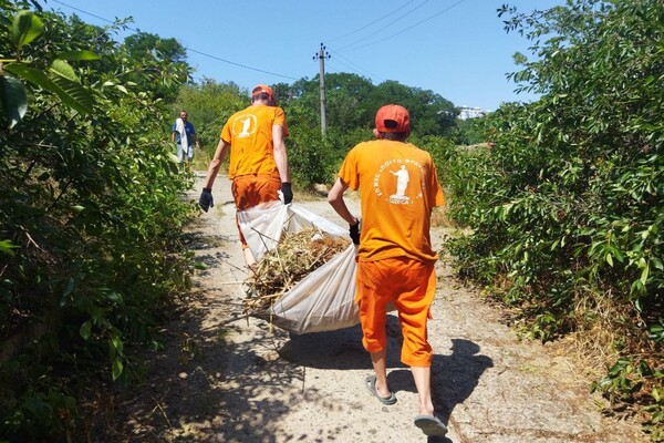 Свежий мониторинг воды в Одессе: что нашли 23 июня  фото 4