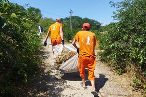 Свежий мониторинг воды в Одессе: что нашли 23 июня  фото 4