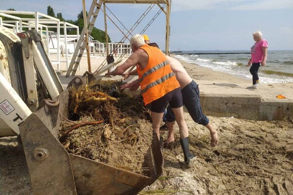 Свежий мониторинг воды в Одессе: что нашли 23 июня  фото 5