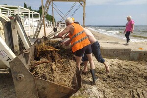 Свежий мониторинг воды в Одессе: что нашли 23 июня  фото 5