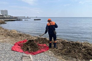 Свежий мониторинг воды в Одессе: что нашли 23 июня  фото 6