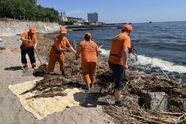 Свежий мониторинг воды в Одессе: что нашли 23 июня  фото 8